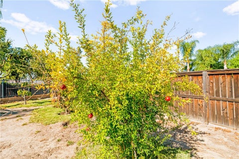 Tiny photo for 1721 Caseros Dr, San Jacinto, CA 92582 (MLS # SW26198897)