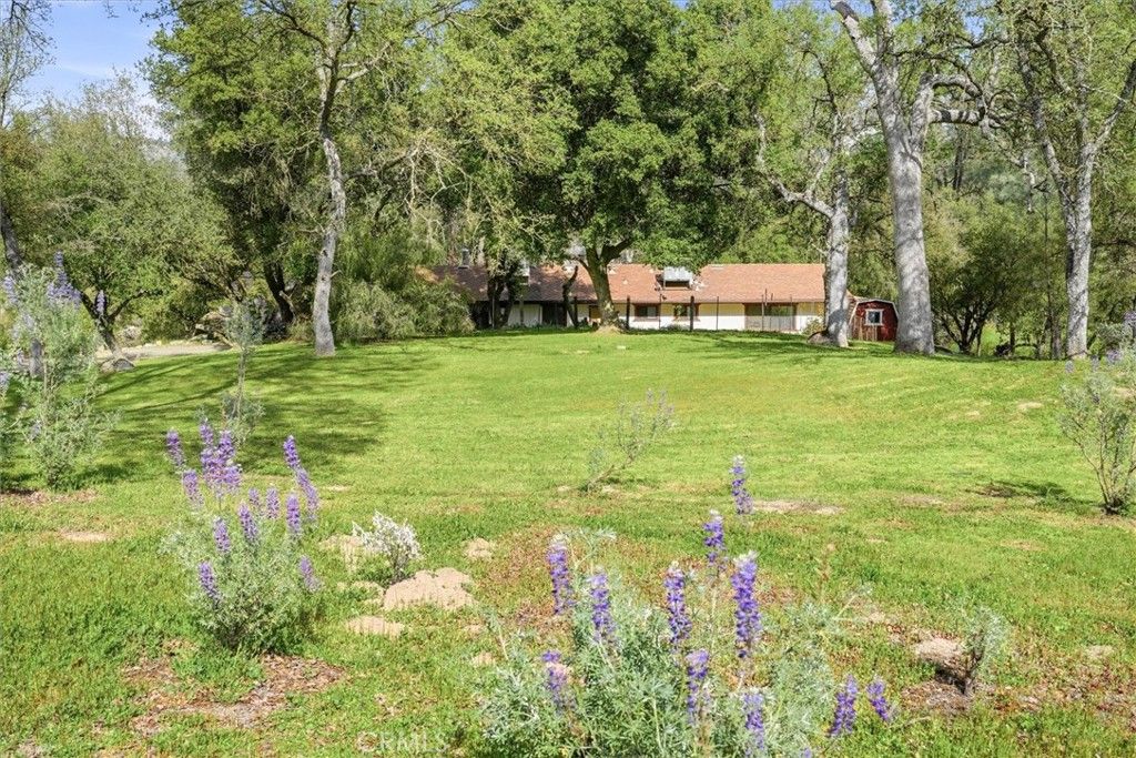 Photo of 28911 Gray Squirrel Ct, Coarsegold, CA 93614 (MLS # FR26057571)