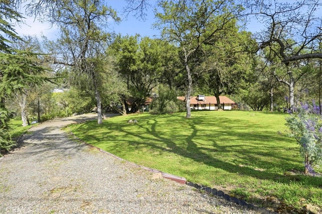 Photo of 28911 Gray Squirrel Ct, Coarsegold, CA 93614 (MLS # FR26057571)