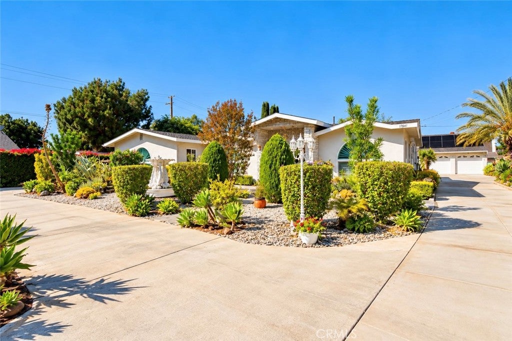 17841 Collins