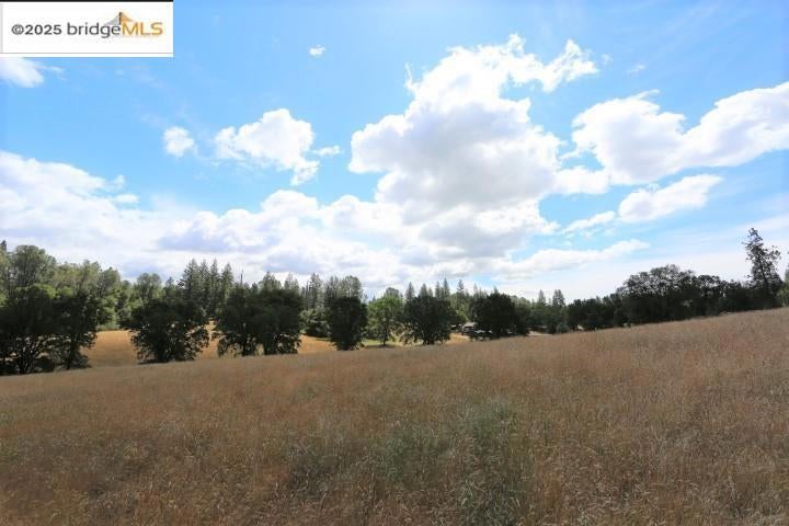 22000 Ferretti Rd.