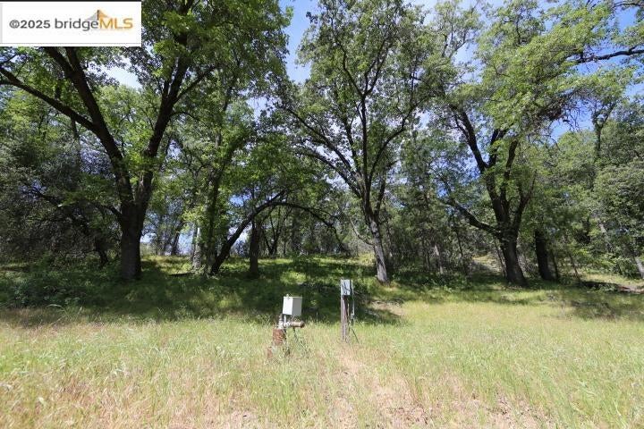 22000 Ferretti Rd.
