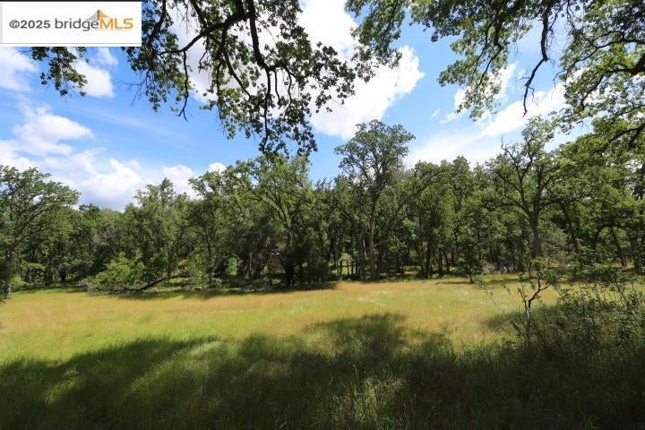 22000 Ferretti Rd.