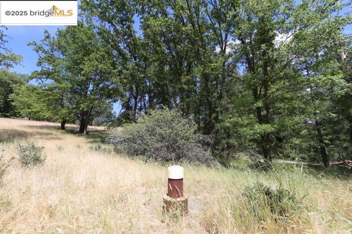 22000 Ferretti Rd.
