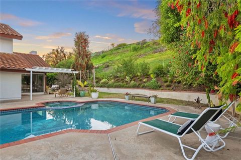 971 San Lorenzo Court Solana Beach CA 92075