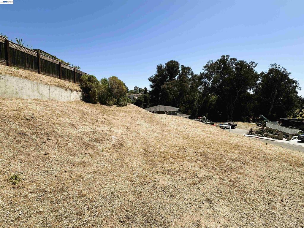 24366 Israel Ct