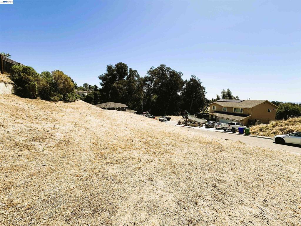 24366 Israel Ct