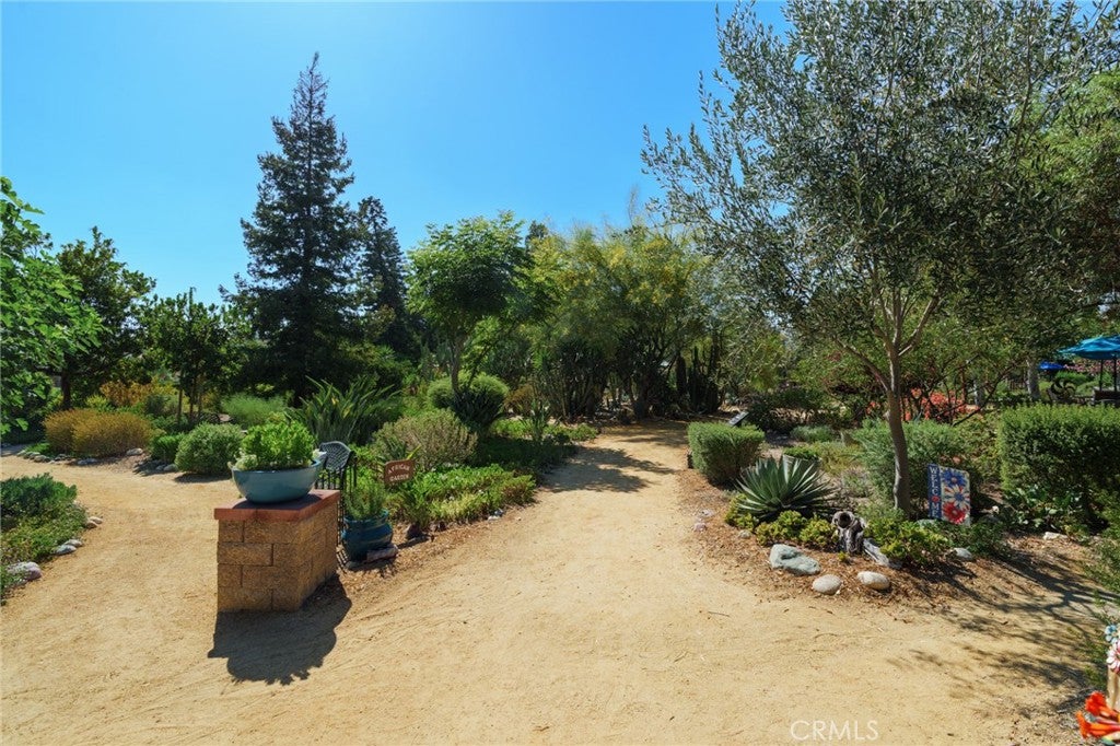 24054 Calendula, Mission Viejo CA 92692 - Photo 8