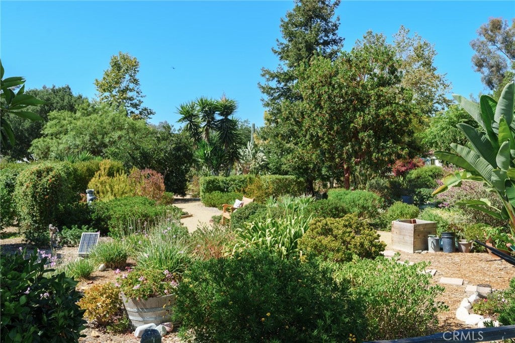24054 Calendula, Mission Viejo CA 92692 - Photo 10