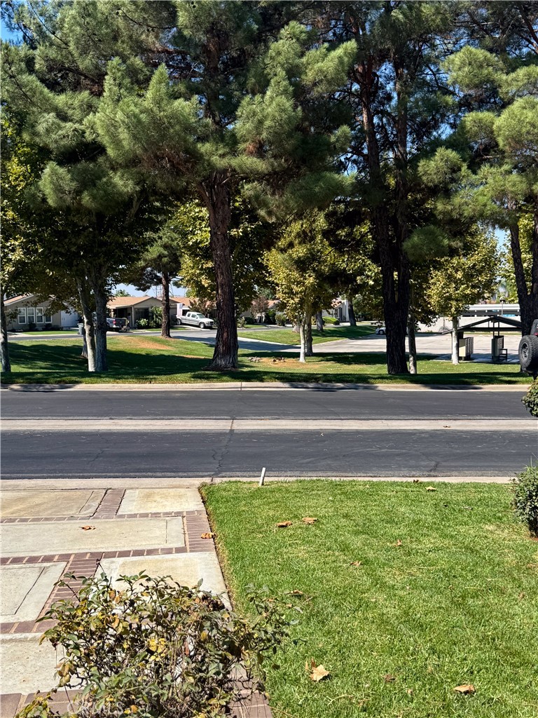 10961 Desert Lawn Drive 21