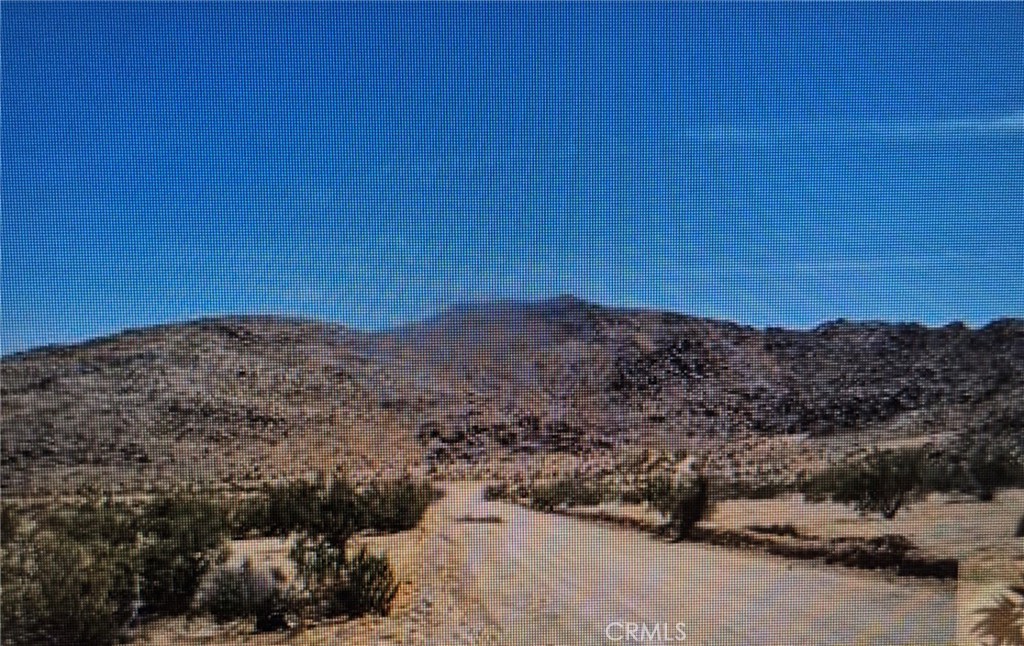 Dreaming of a peaceful oasis where the sun kisses the earth and the stars dance in the night sky? This magical lot is calling your name! Nestled in the heart of the vibrant Joshua Tree vibes, you'll find a spacious canvas, ready for your imagination to soar. Close to Joshua Tree Elementary School and minutes to Market, shopping. This location is 10/10.With no obstructing Joshua trees, this lot is awaiting your creative energy. Make it a cozy forever home you've always envisioned. Embrace the spirit of the High Desert, where every sunrise paints the sky in shades of hope, and let your dreams manifest in this enchanting haven. Whether you're seeking a tranquil retreat or an artistic sanctuary, this lot is your opportunity to build something beautiful. Peace, love, and good vibes await you! Come feel the energy and make it yours!