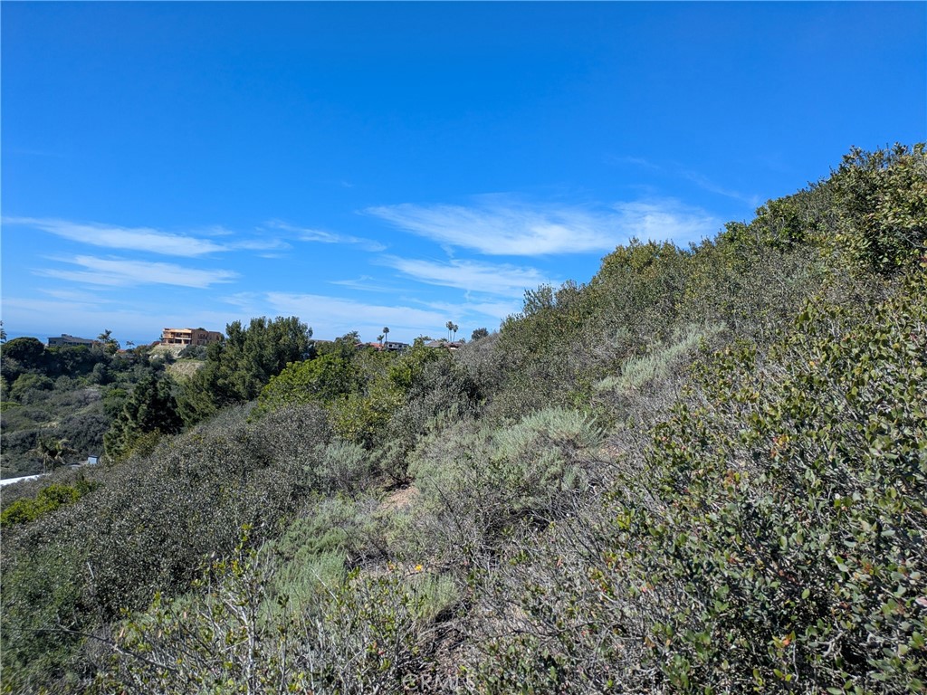 504 E Avenida San Juan