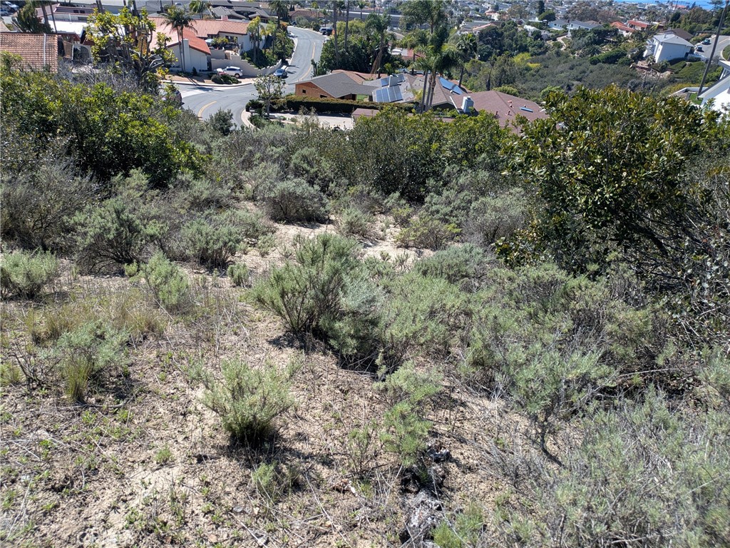 504 E Avenida San Juan