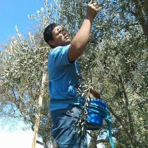 Tiny photo for 3470 Ranchita Cyn Rd Rd, San Miguel, CA 93451 (MLS # NS25280666)