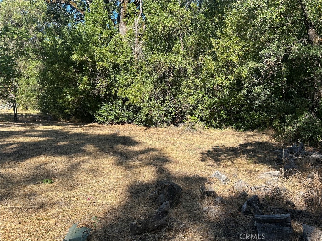 15394 Mckell