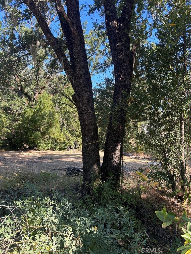 15394 Mckell