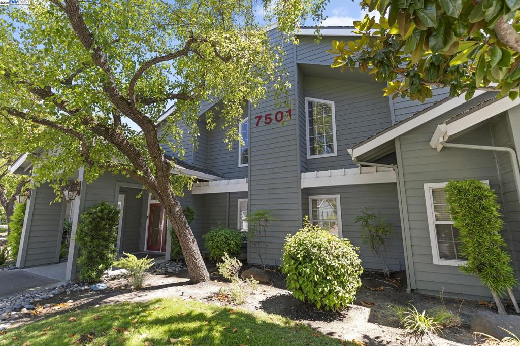 CANYON MEADOWS - Residential