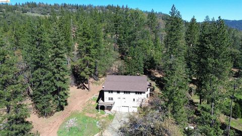 Photo of 3715 Bald Mountain Rd, West Point, CA 95255 (MLS # 41127753)