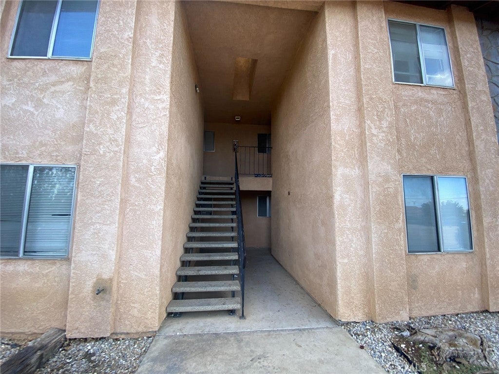 15845 Tokay