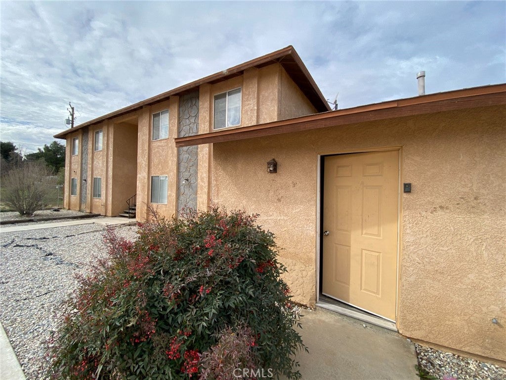 15845 Tokay