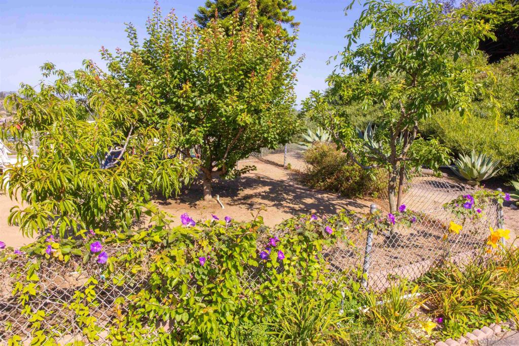 Encinitas - Residential