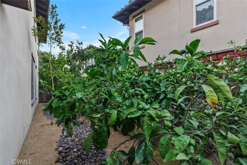 Seabright Cove - Residential