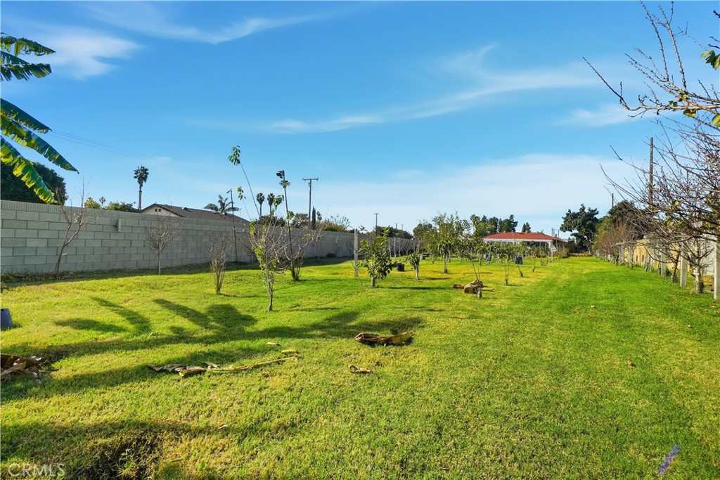 11356 Desmond Street