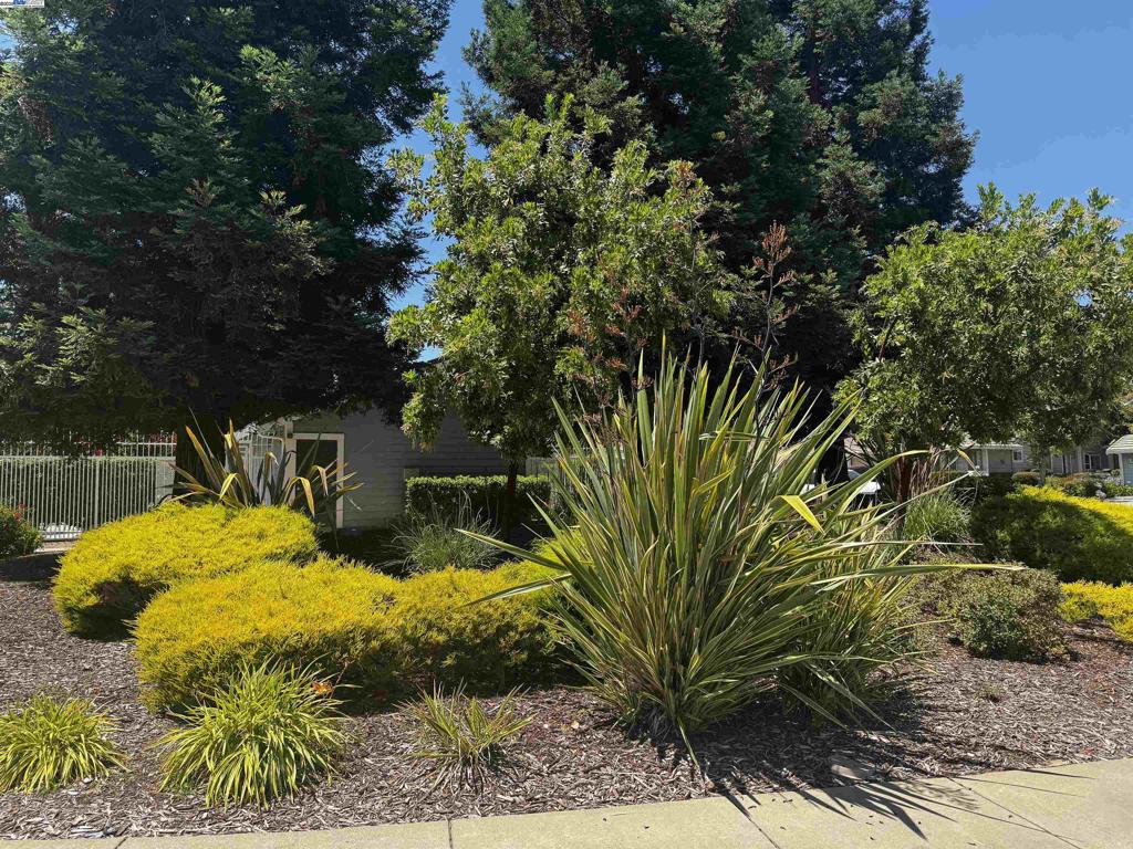 PORTOLA GLEN - Residential