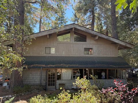 Photo of 52835 Sugar Pine Drive, Idyllwild, CA 92549 (MLS # 219137231DA)