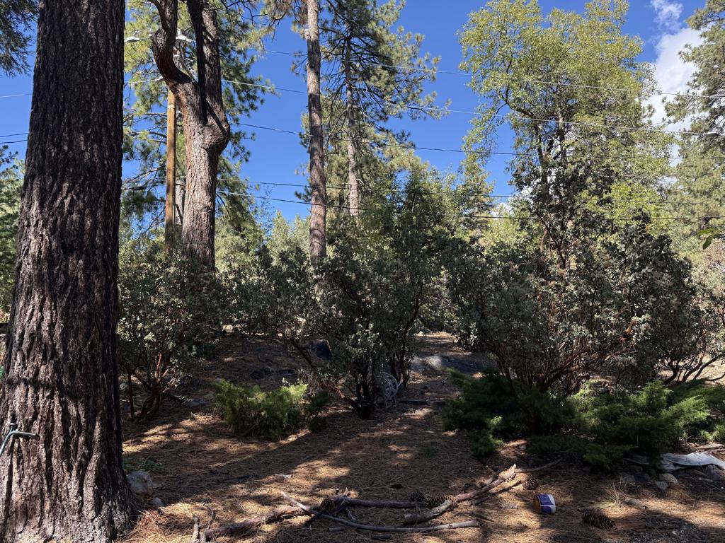 Not Applicable-1 - Residential