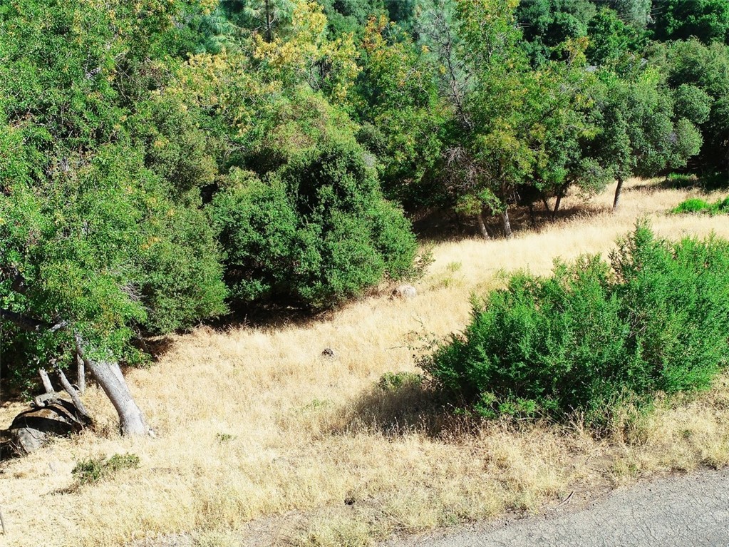 BUILD YOUR DREAM HOME OVER LOOKING THE BEAUTIFUL LAKE.GREAT AREA.CLERARLAKE RIVIERA,PAVED ROAD AND WATER TO PROPERTY.
