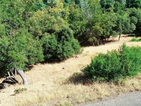Photo of 10610 Boren Bega Drive, Kelseyville, CA 95451 (MLS # LC25161317)