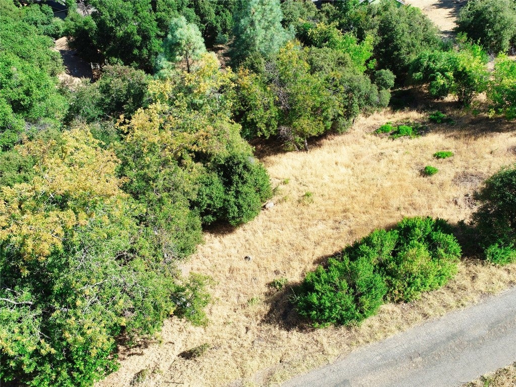 10610 Boren Bega Drive