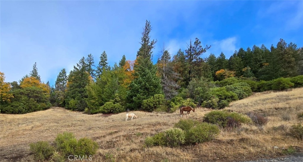 32120 Shimmins Ridge Road