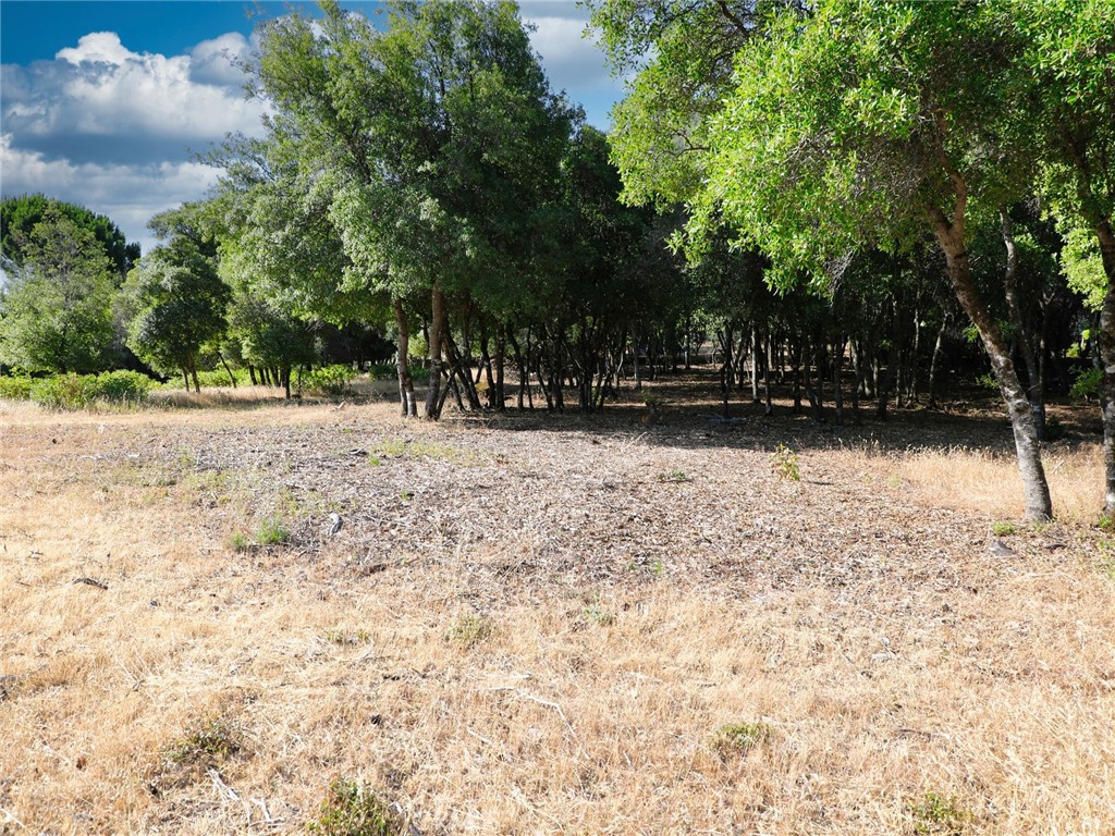 BEAUTIFUL EXPANSIVE LOT WITH LOVELY LAKE VIEWS! Mostly level with just the right amount of mature vegetation this terrific parcel has all the qualities one could wish for to build the ideal home. Water connected and power are on the street and a soil analysis is on file. Recreational options abound including fishing, tennis, golf, and hiking, or take a drive around the lake for a premium wine-tasting excursion. Remote and serene yet just a short hop to the lake, market, restaurants, and coffee shop this much-desired neighborhood is the perfect place to raise a family, enjoy summer getaways or savor your golden years!