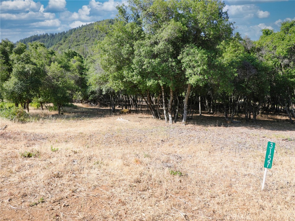 3157 Riviera Heights Drive