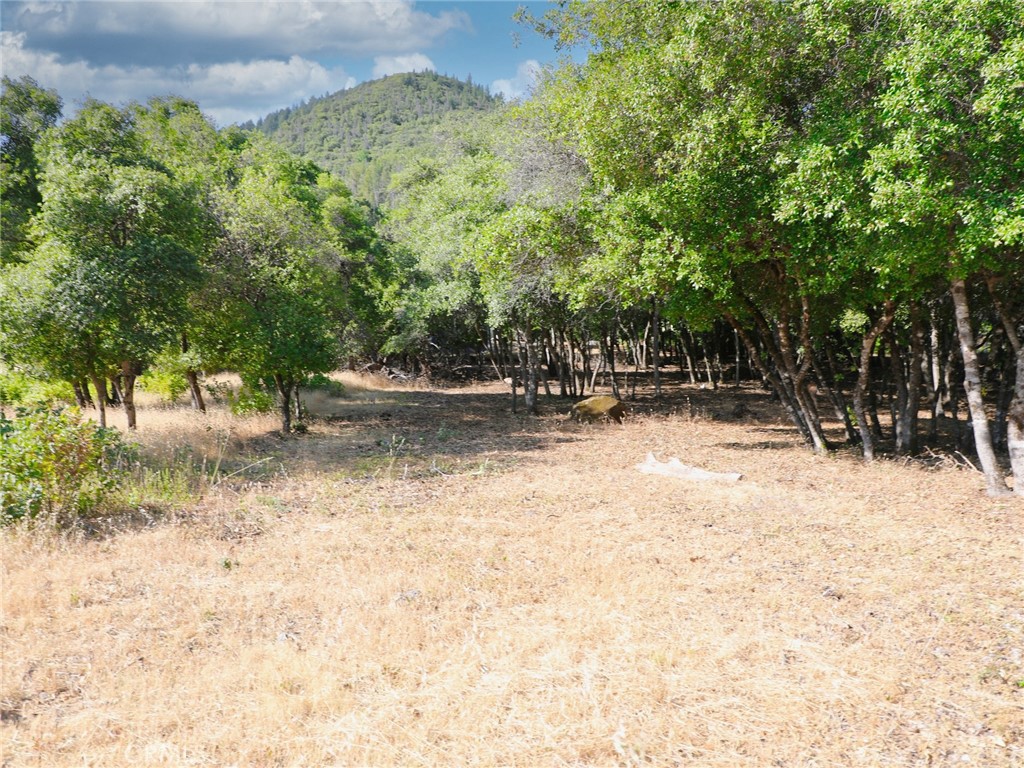 3157 Riviera Heights Drive