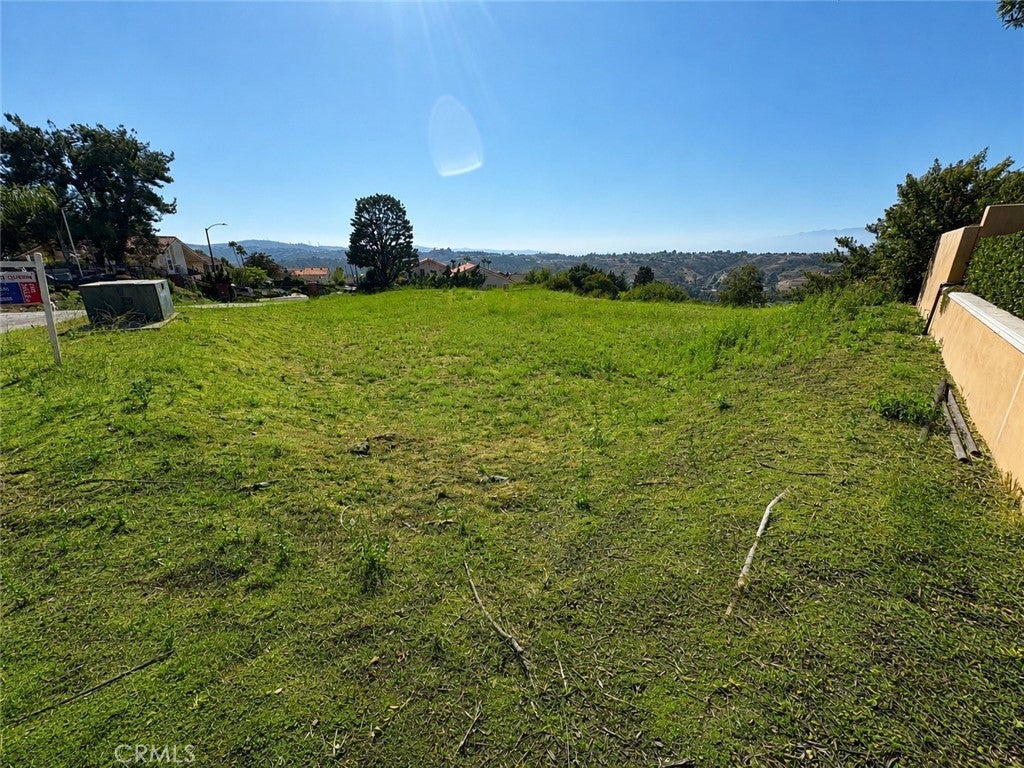 3145 Steeplechase Lane