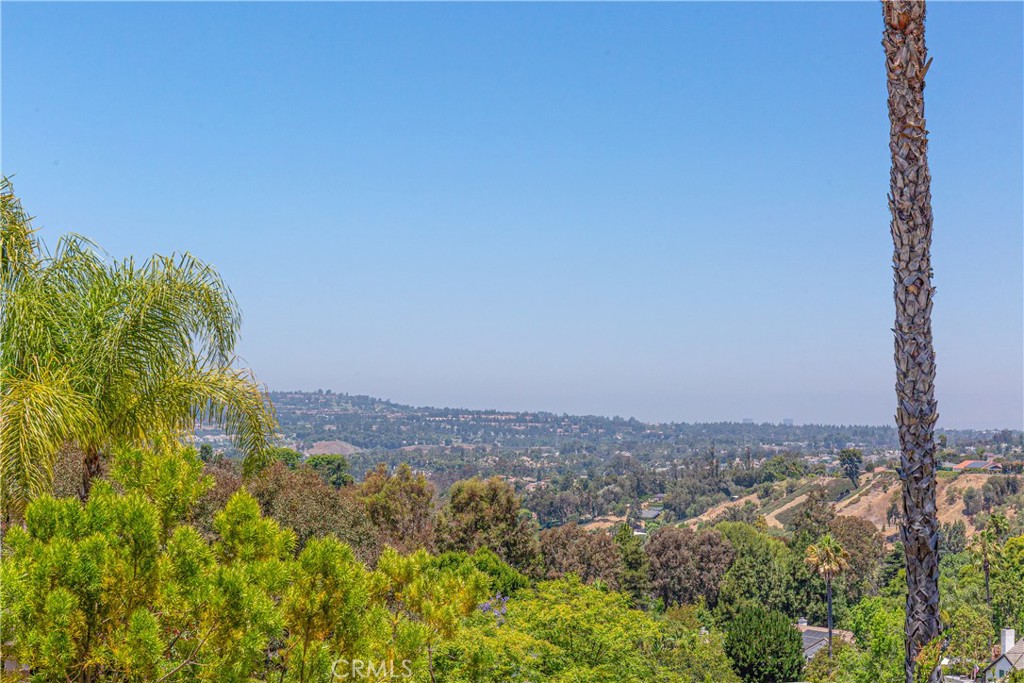 Nellie Gail (NG) - Residential