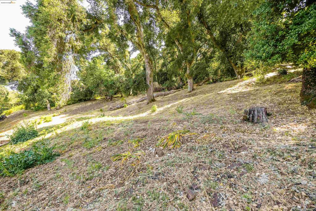 CASTLEWOOD C.C. - Residential