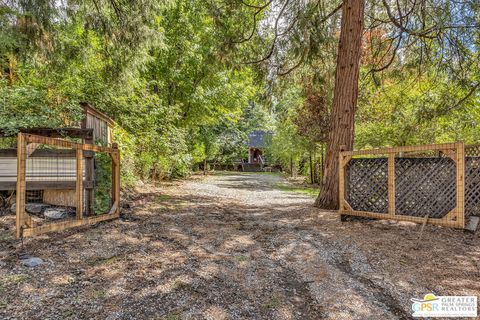 Photo of 25300 Tahquitz Road, Idyllwild, CA 92549 (MLS # 25598299PS)