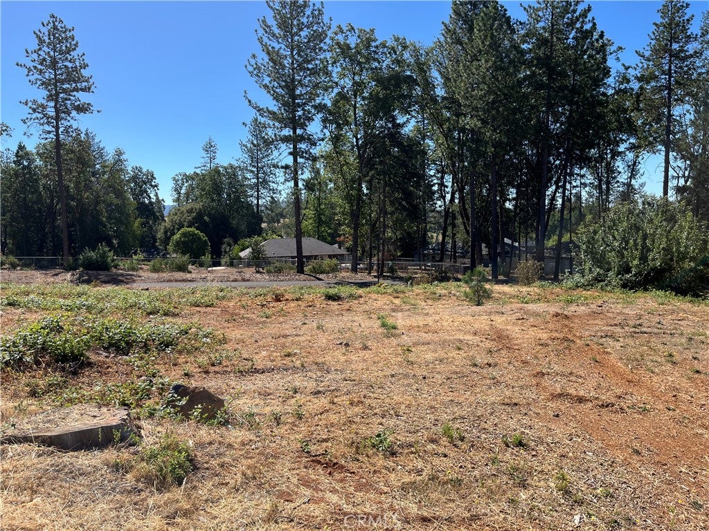 9238 Skyway Road