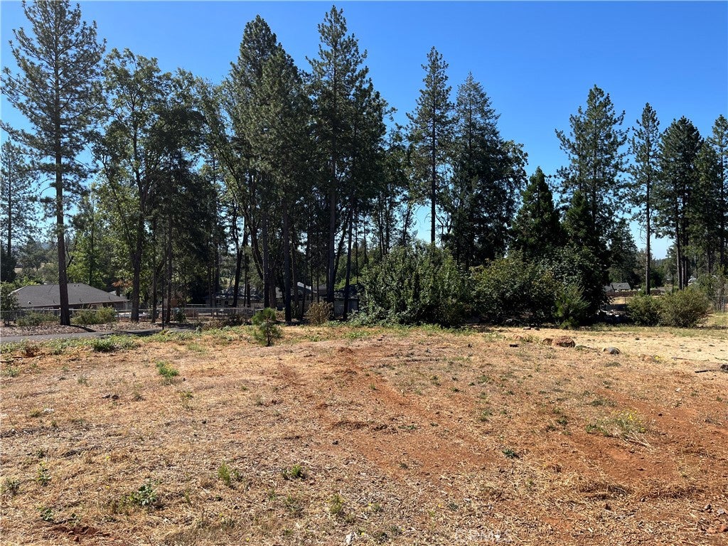 9238 Skyway Road