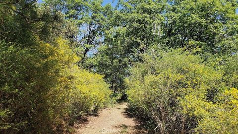 Photo of 11890 Loch Lomond Rd, Loch Lomond, CA 95461 (MLS # LC26061821)