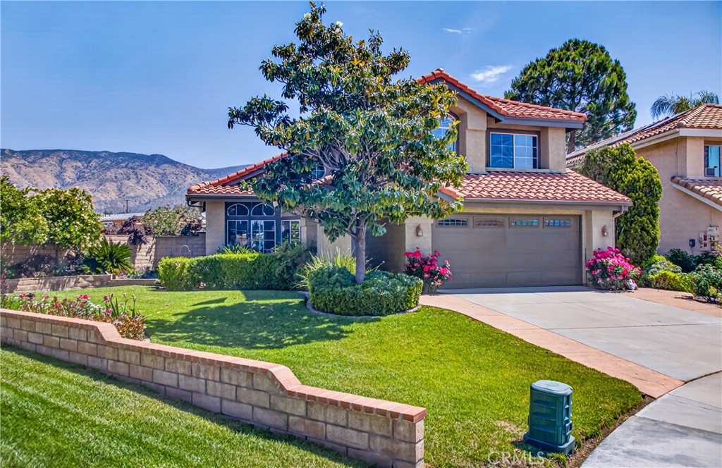 10681 Berrywood