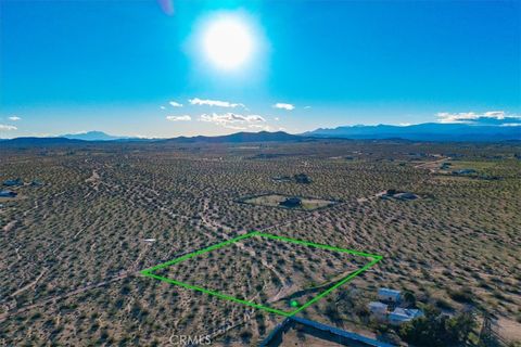 Photo of 1234 Sun Terrace, Landers, CA 92285 (MLS # JT26005959)