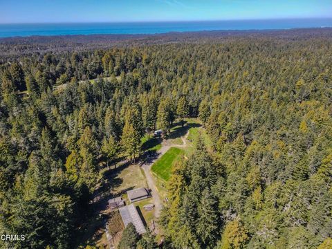 Photo of 15137 Mitchell Creek Drive, Fort Bragg, CA 95437 (MLS # C1-10935) Photo of 15137 Mitchell Creek Drive, Fort Bragg, CA 95437 (MLS # C1-10935)