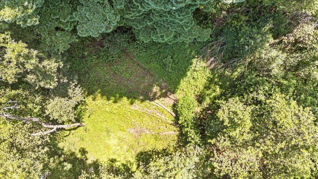 Photo of 115 Edison Way, Soquel, CA 95073 (MLS # ML82025215)