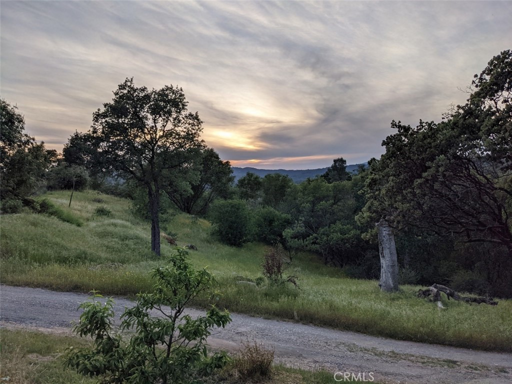 Discover your perfect retreat at 3279 Quail Run Road in the serene Bronco Hollow Estates community. This exceptional vacant lot with a private well, offers endless possibilities for creating your custom dream home while providing immediate functionality with its thoughtfully placed amenities. The property features a small RV trailer ideal for temporary living quarters during construction or additional storage needs. Home plans are readily available, and an open septic permit with the county streamlines your building process. Two 10x12 outbuildings provide versatile spaces perfect for overnight accommodations, home office use, or secure storage solutions. Also, featuring 400 amps of electricity, readily available for all and any electrical needs. The crown jewel of this property is its impressive collection of mature fruit trees creating a private orchard paradise. Approximately twelve pomegranate trees flourish alongside specialty varieties including an apricot-peach hybrid, apri-plum hybrid, three plum trees featuring yellow and red varieties, Patterson apricot, Elephant Heart plum, white peach, white and yellow nectarines, lemon, kumquat, naval orange, and Valencia orange trees. The established drought-tolerant garden showcases California native plants including buckwheat, groundcover sage, rosemary, and vibrant poppies. A fenced 1500-square-foot garden area features an upgraded irrigation system ensuring optimal growing conditions. The chicken coop and garden perimeter are secured with electric fencing for protection. Throughout the grounds, beautiful wisteria and lavender lilac add natural beauty and fragrance. The property offers stunning panoramic views with spectacular sunset vistas, creating a tranquil atmosphere for relaxation and entertaining. Located on well-maintained roads within Bronco Hollow Estates, this secluded oasis provides privacy while maintaining convenient access. The MH zoning designation offers flexibility for your development plans. Whether you envision building your forever home, establishing a hobby farm, or creating a weekend retreat, this unique property delivers the space and infrastructure to bring your vision to life! This rare opportunity combines productive agricultural elements with residential potential in a peaceful mountain setting. The established fruit trees, garden infrastructure, and utility preparations make this an exceptional value for discerning buyers seeking rural tranquility with modern conveniences.