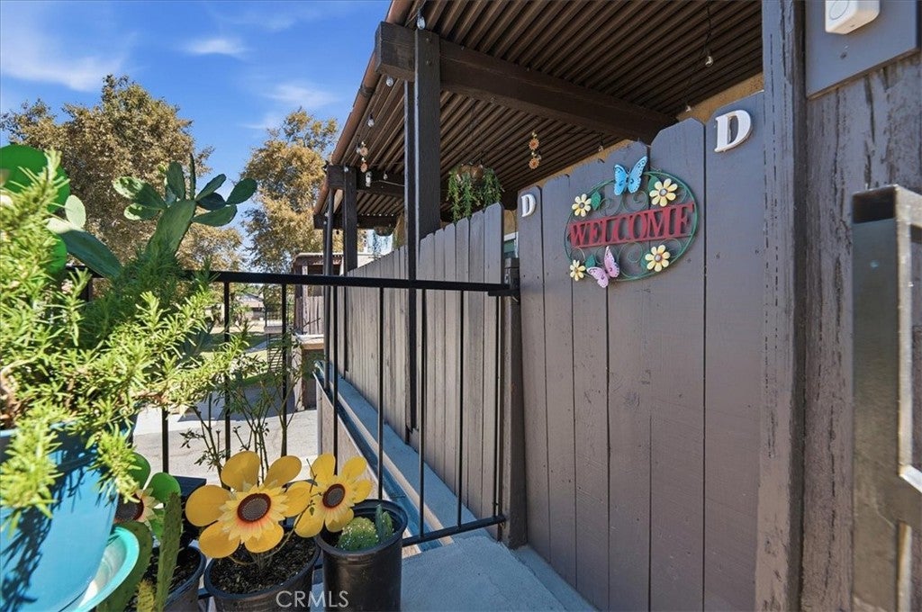 12241 Carnation D